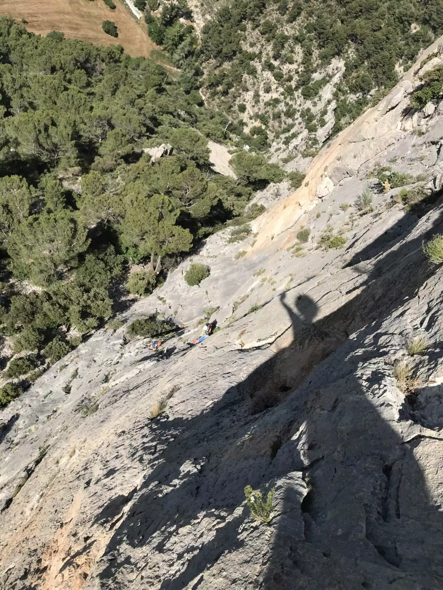 Stage escalade Buis les Baronnies, initiation à la falaise, 4 jours