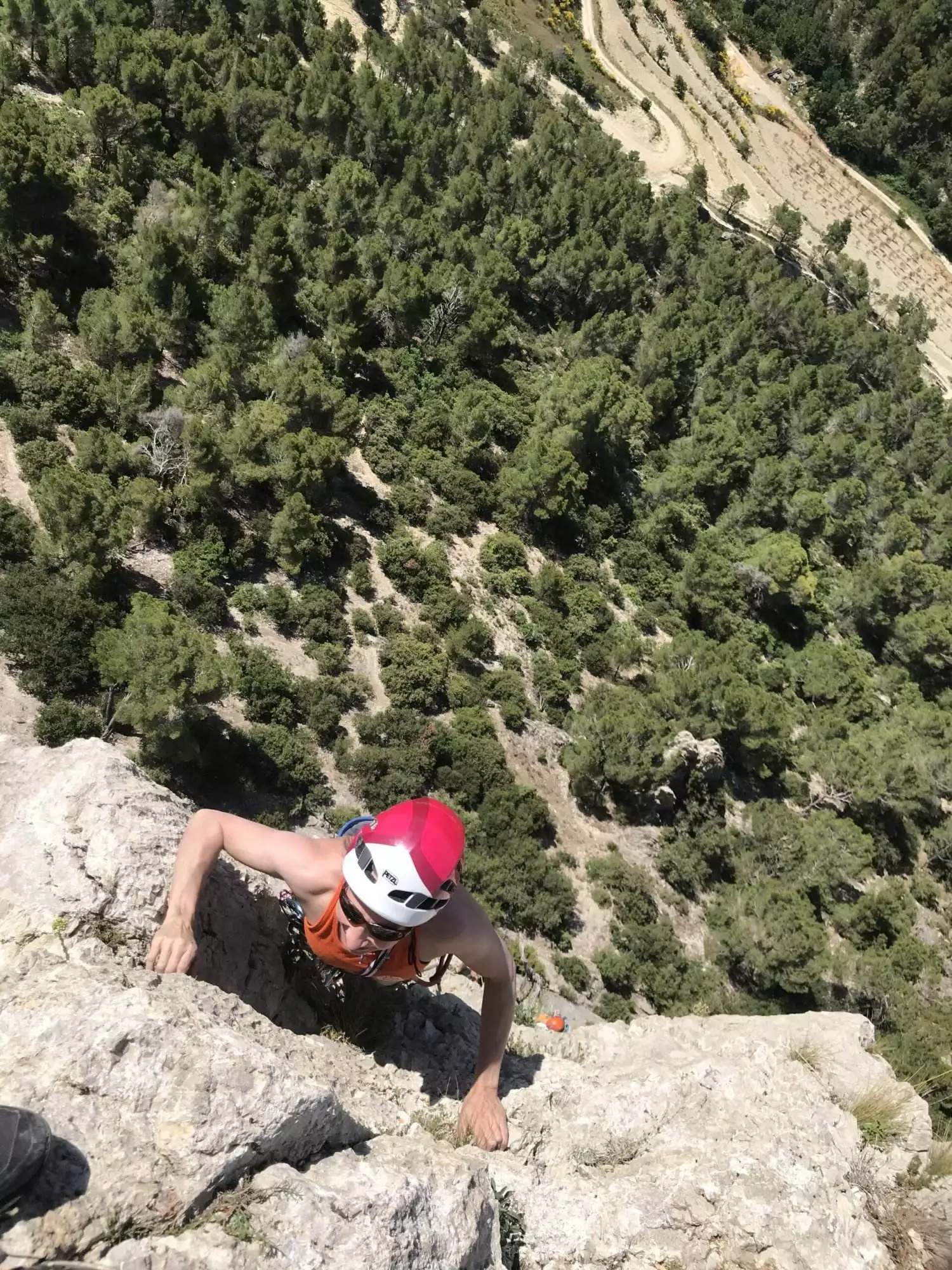 Stage escalade Buis les Baronnies, initiation à la falaise, 4 jours
