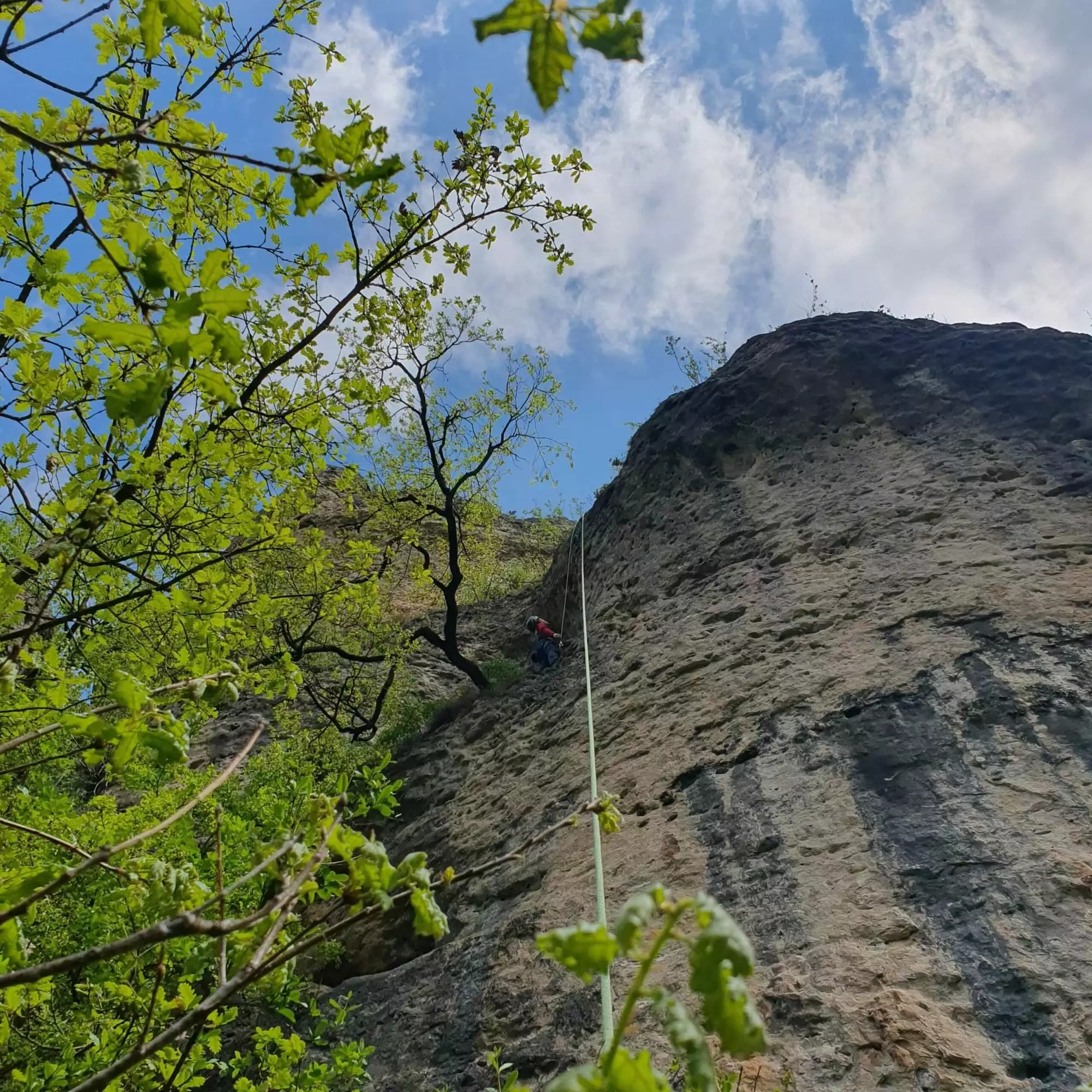 Stage escalade Gorges du Tarn, découverte falaise et progression, 4 jours