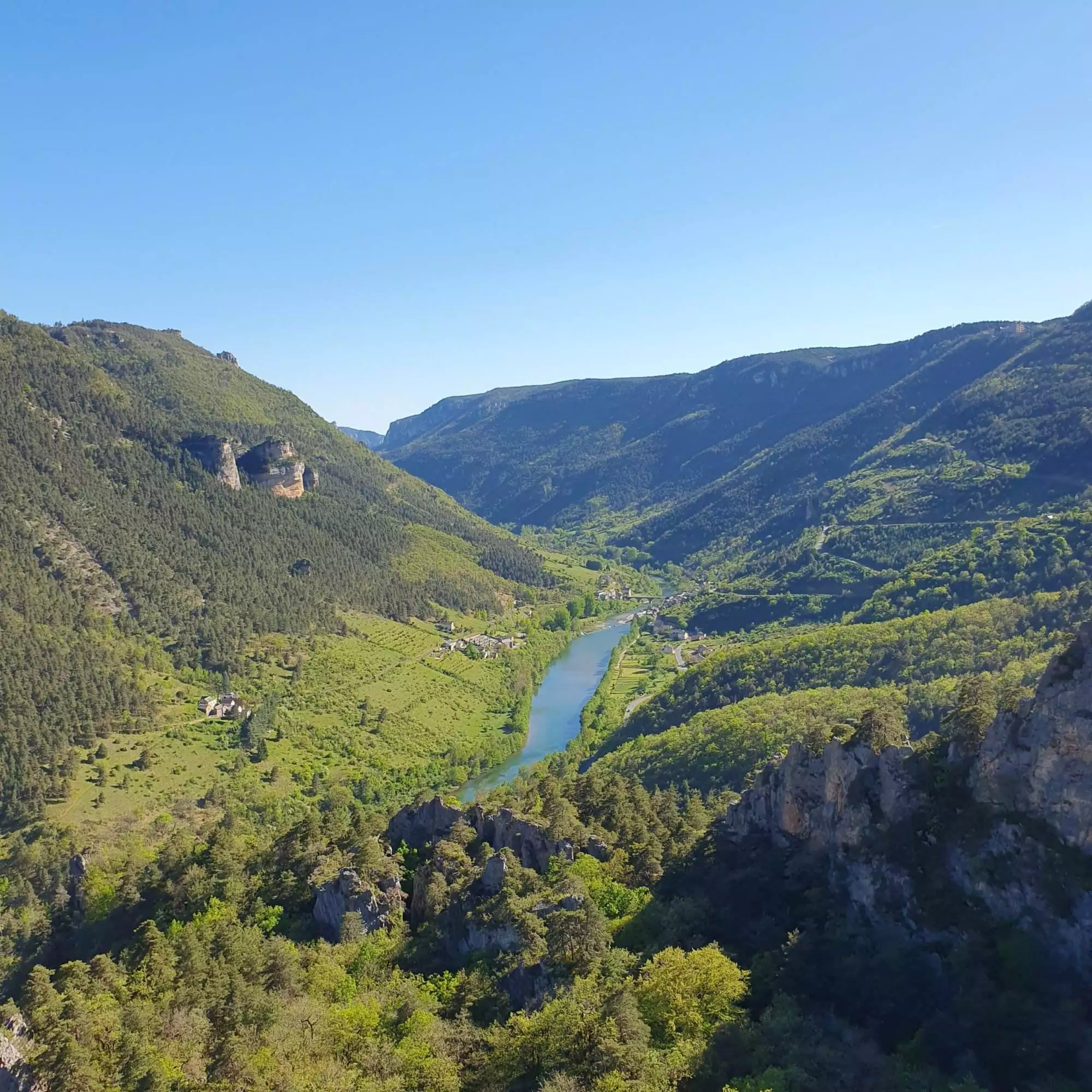 Stage escalade Gorges du Tarn, découverte falaise et progression, 4 jours