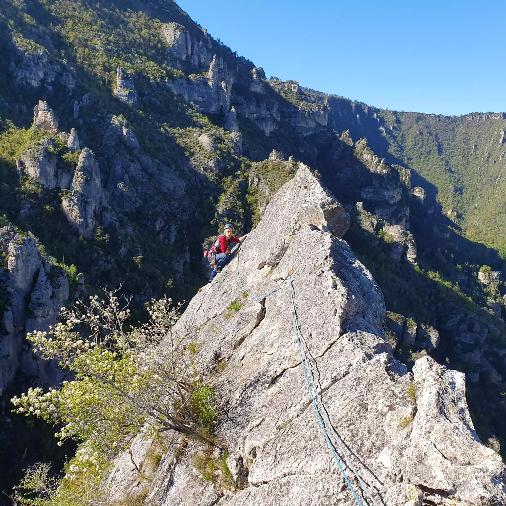 Stage escalade Gorges du Tarn, découverte falaise et progression, 4 jours