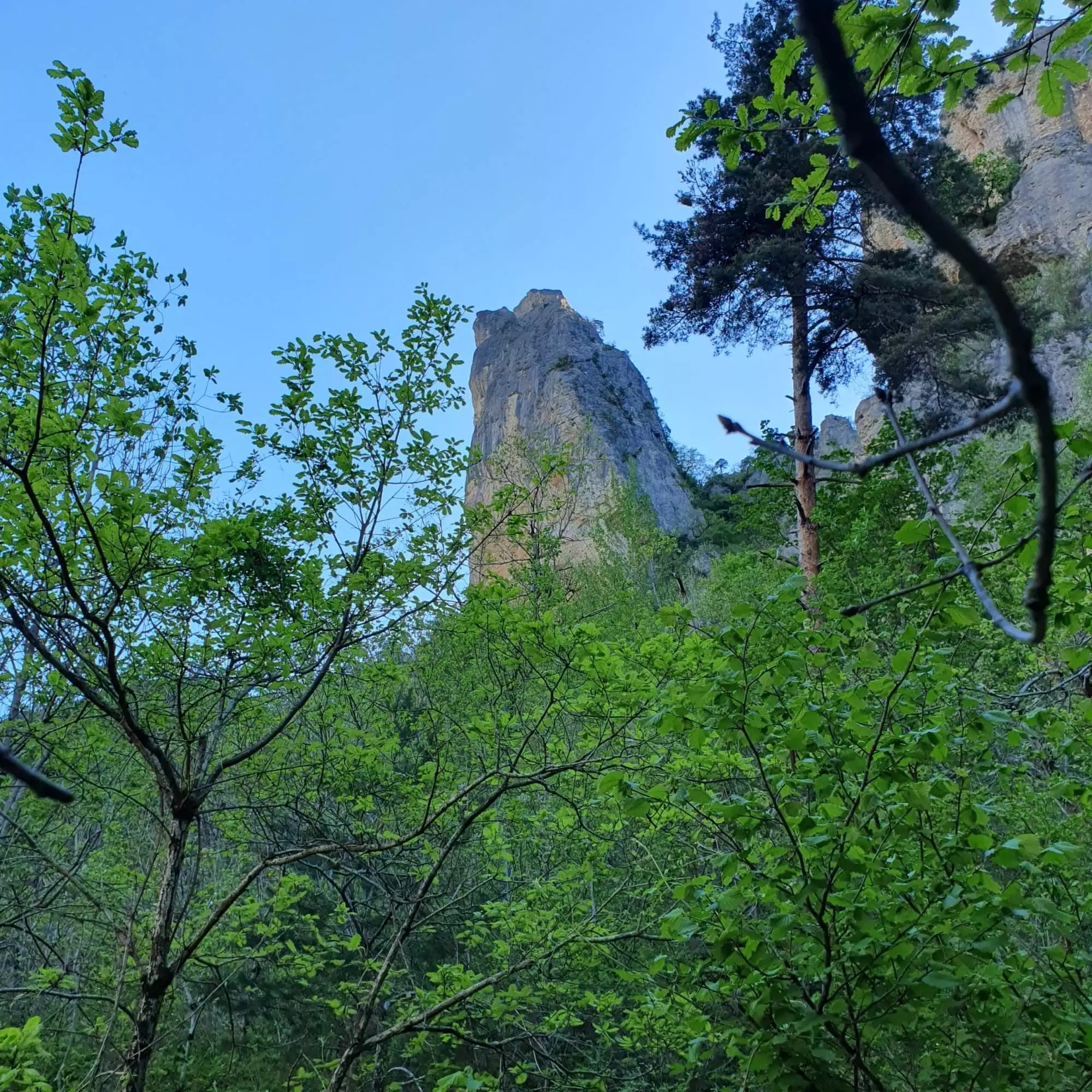 Stage escalade Gorges du Tarn, découverte falaise et progression, 4 jours