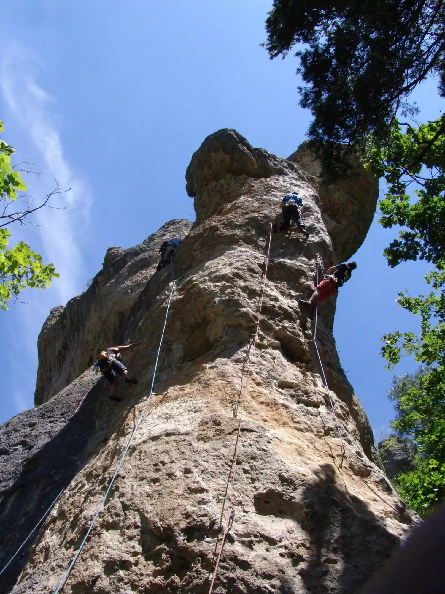 Stage escalade Gorges du Tarn, découverte falaise et progression, 4 jours