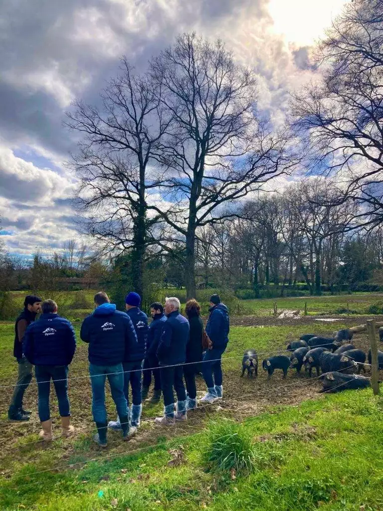 rencontre avec producteur de Porcs noirs de Bigorre Clément Dupont