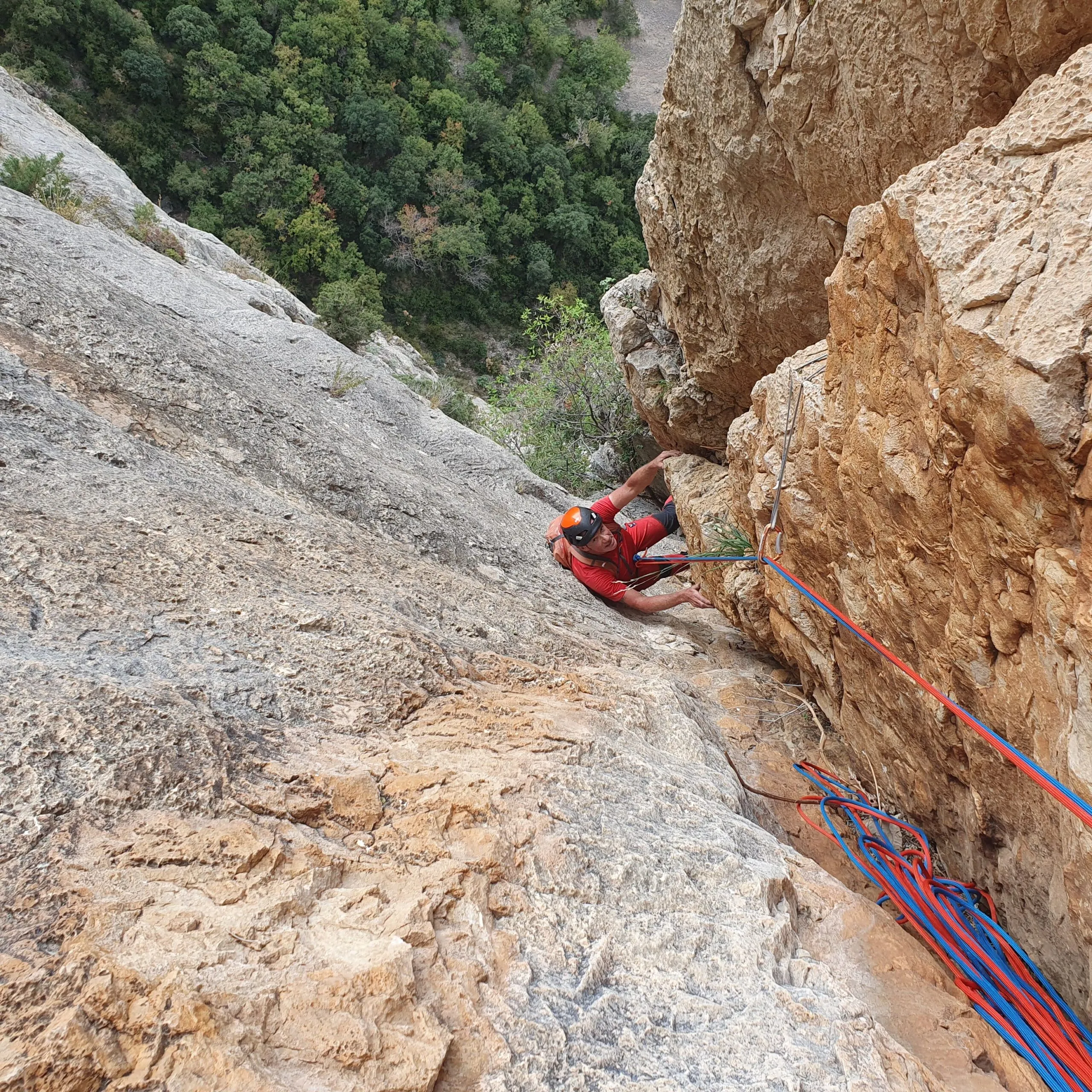Diedre gris, c'est du dièdre